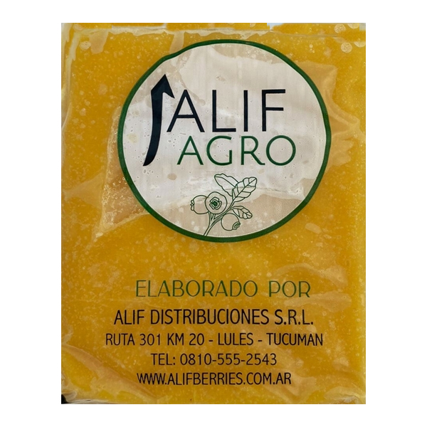Mango Pulpa x 1 Kg. (16) - Quillen