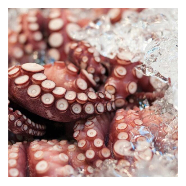 Pulpo Español Entero x kg. - Artico