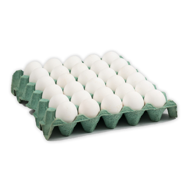 Huevos Maple x 30