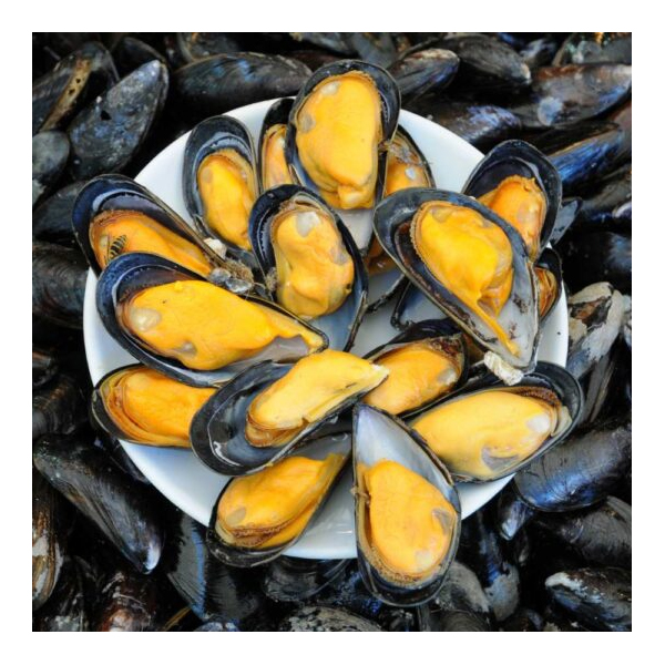 Mejillon Pelado x 500 gr. - Porto Belo (10)